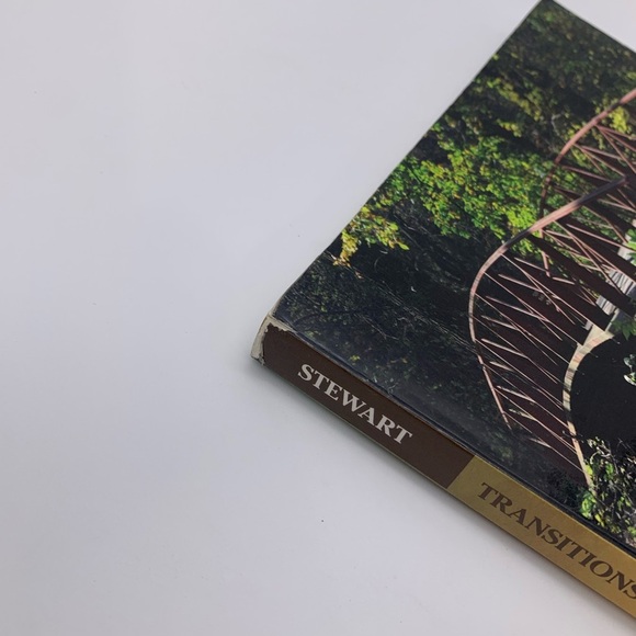 TRANSITIONS TO ADULTHOOD FOR YOUTH WITH DISABILITIES by Stewart Mcs Ot Reg Debra - Picture 4 of 12